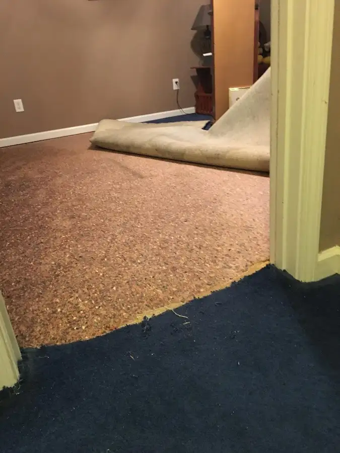 Carpet pad removal revealing water damage during Drying & Dehumidification in Haledon