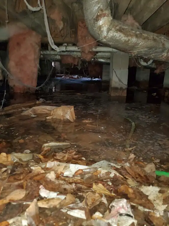 Crawl space flood assessment for Leak Detection & Repair in Haledon