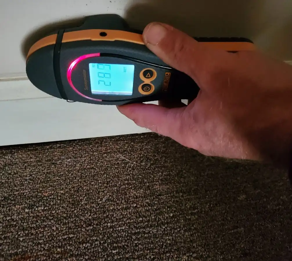 Moisture detection at baseboard during Sewage Cleanup & Sanitation in Haledon